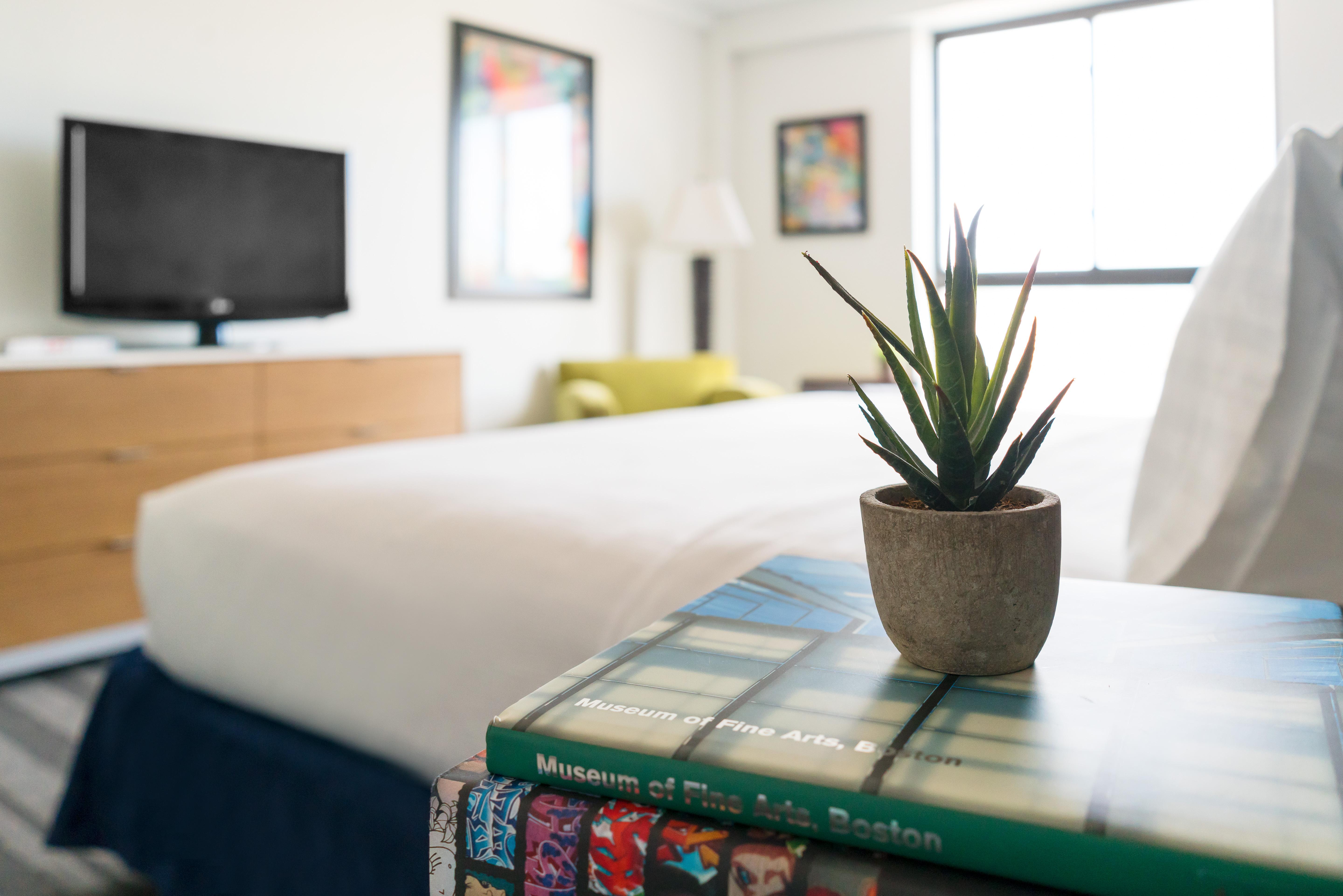 Studio Allston Hotel Бостон Экстерьер фото