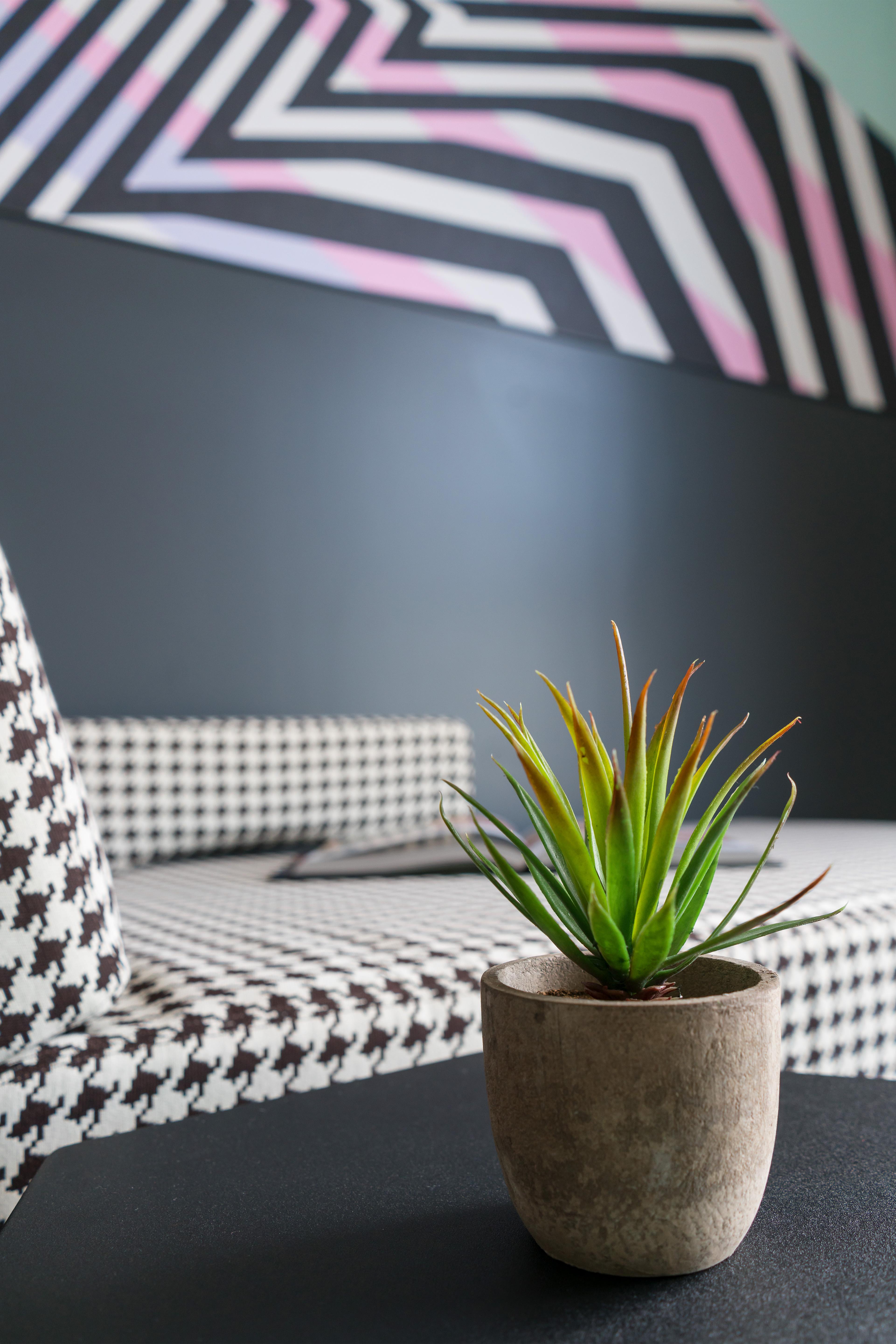 Studio Allston Hotel Бостон Экстерьер фото